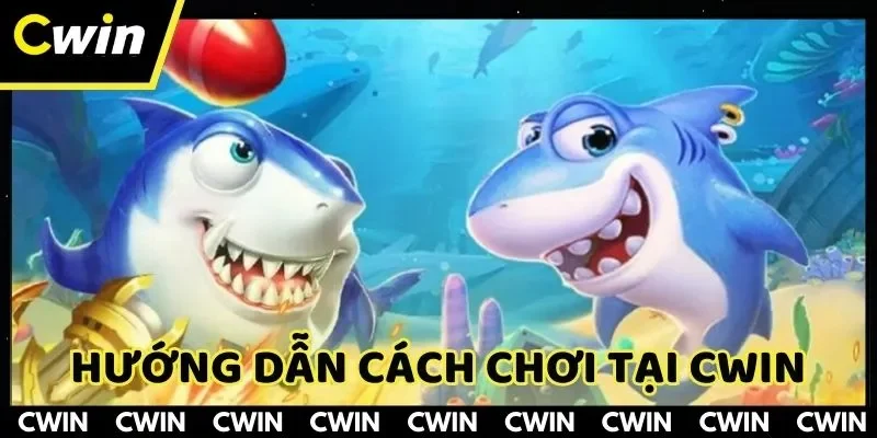 Quy trình tham gia chơi game