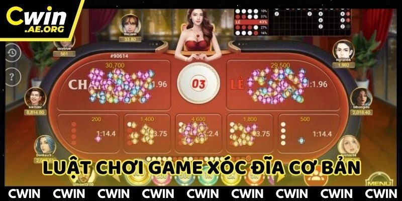 Quy luật cơ bản người mới nên biết